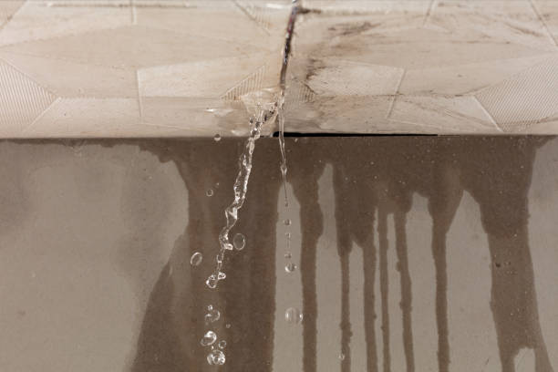 Professional Structural Drying technician working in Petersburg, TX